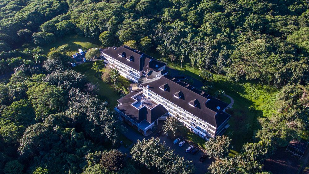 An aerial view of a hotel nestled in a lush forest setting.