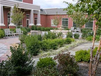 A serene garden setting featuring a variety of plants and a well-maintained pathway leading to a brick building.