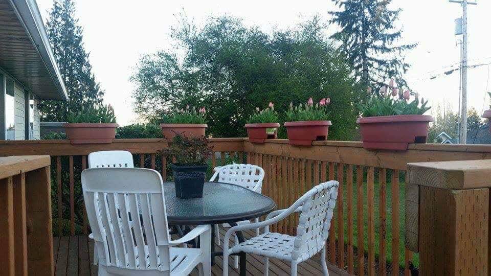 A cozy outdoor patio with a table and chairs, surrounded by greenery and potted plants on the deck railing.