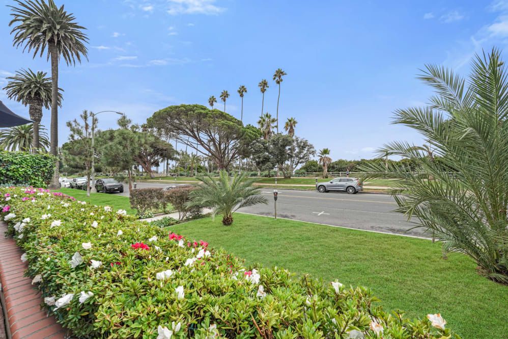 A scenic view of a parking lot surrounded by lush greenery and tall palm trees under a clear blue sky.