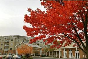 A beautiful red-leafed tree in front of a building during autumn.