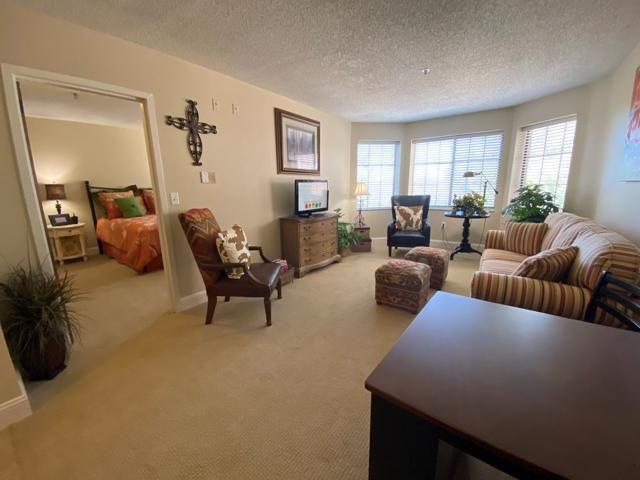 A cozy living room with comfortable seating and a television, decorated with plants and home decor.