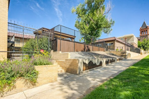 A beautifully landscaped backyard featuring a well-maintained pathway, steps leading to an upper level, and greenery surrounding the area.