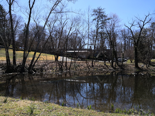 A tranquil scene featuring a pond surrounded by bare trees, capturing their reflection in the calm waters.