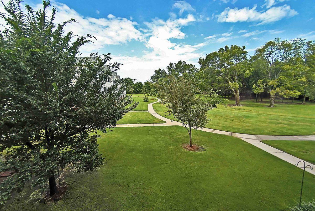 A scenic view of a park with lush green grass and winding pathways.