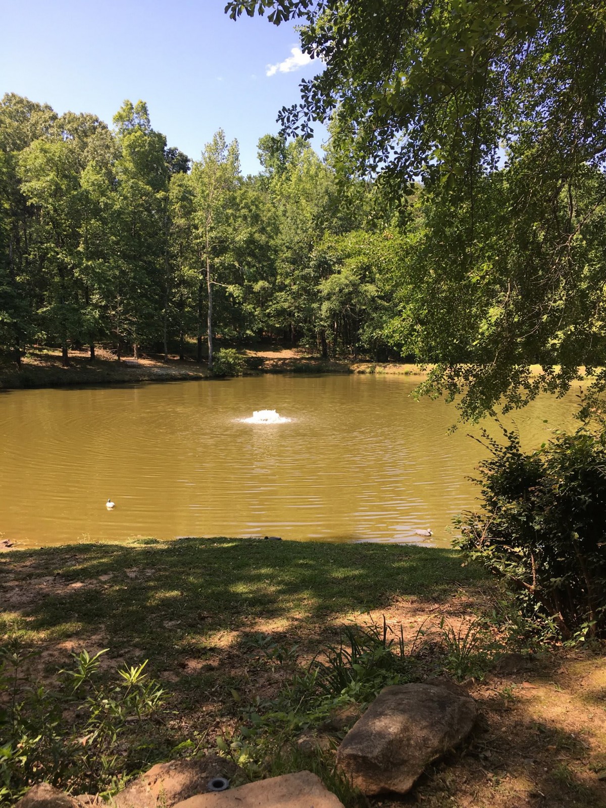 A serene pond surrounded by lush greenery and trees, with a fountain creating ripples in the water.