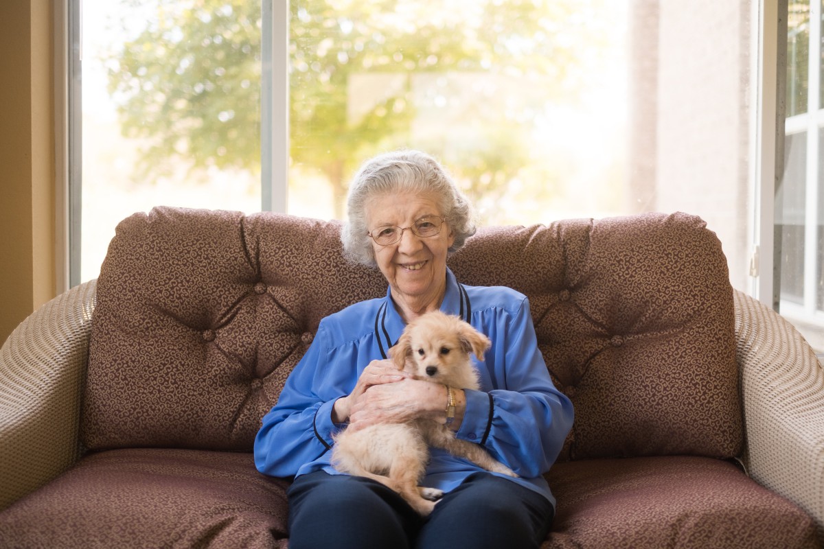 An elderly woman sitting on a couch, joyfully holding a small puppy.