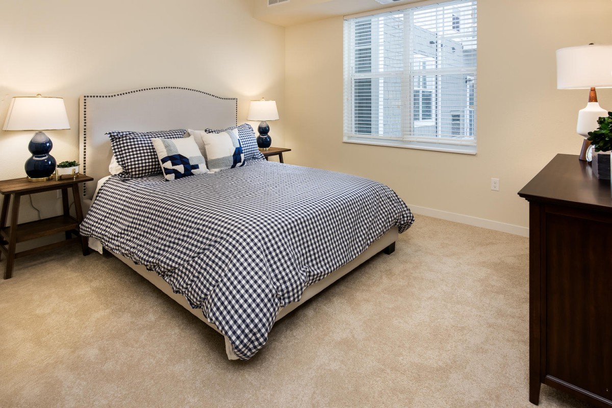 A cozy bedroom featuring a large bed with patterned bedding, a bedside lamp, and a window letting in natural light.