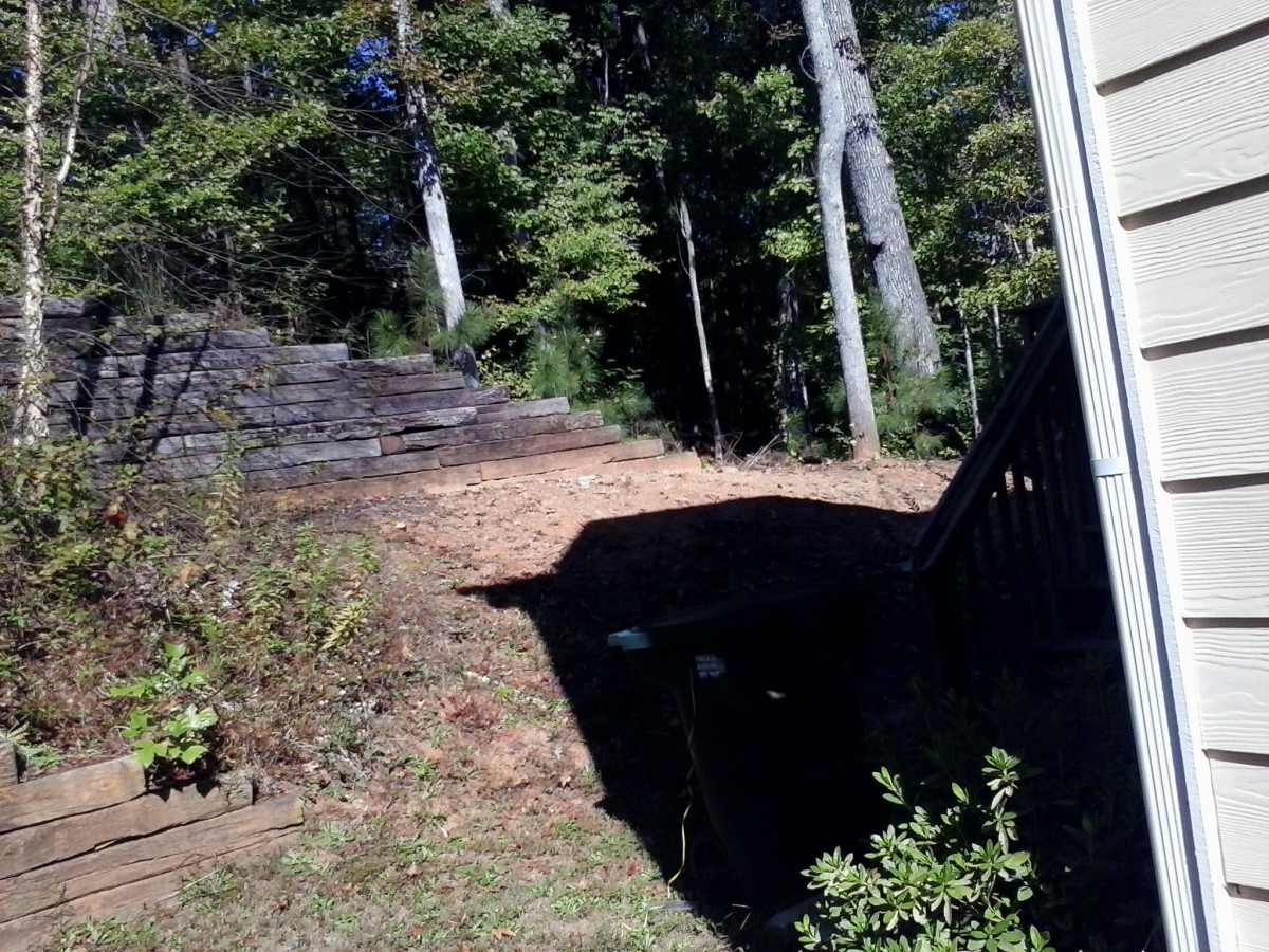 A backyard scene with sunlight casting shadows from a deck onto the ground, surrounded by trees and greenery.