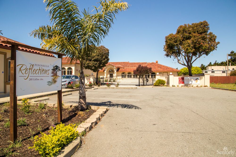 A sunny view of a building entrance surrounded by palm trees and a driveway.