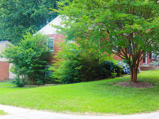 A charming brick house surrounded by lush greenery and a well-maintained lawn.
