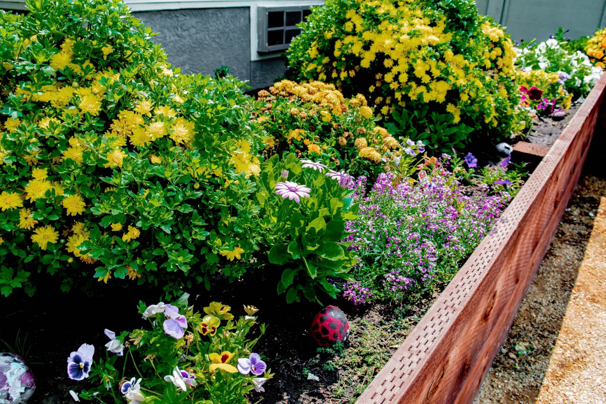 A vibrant garden featuring lush greenery and a variety of colorful flowers, including yellow and purple blooms.