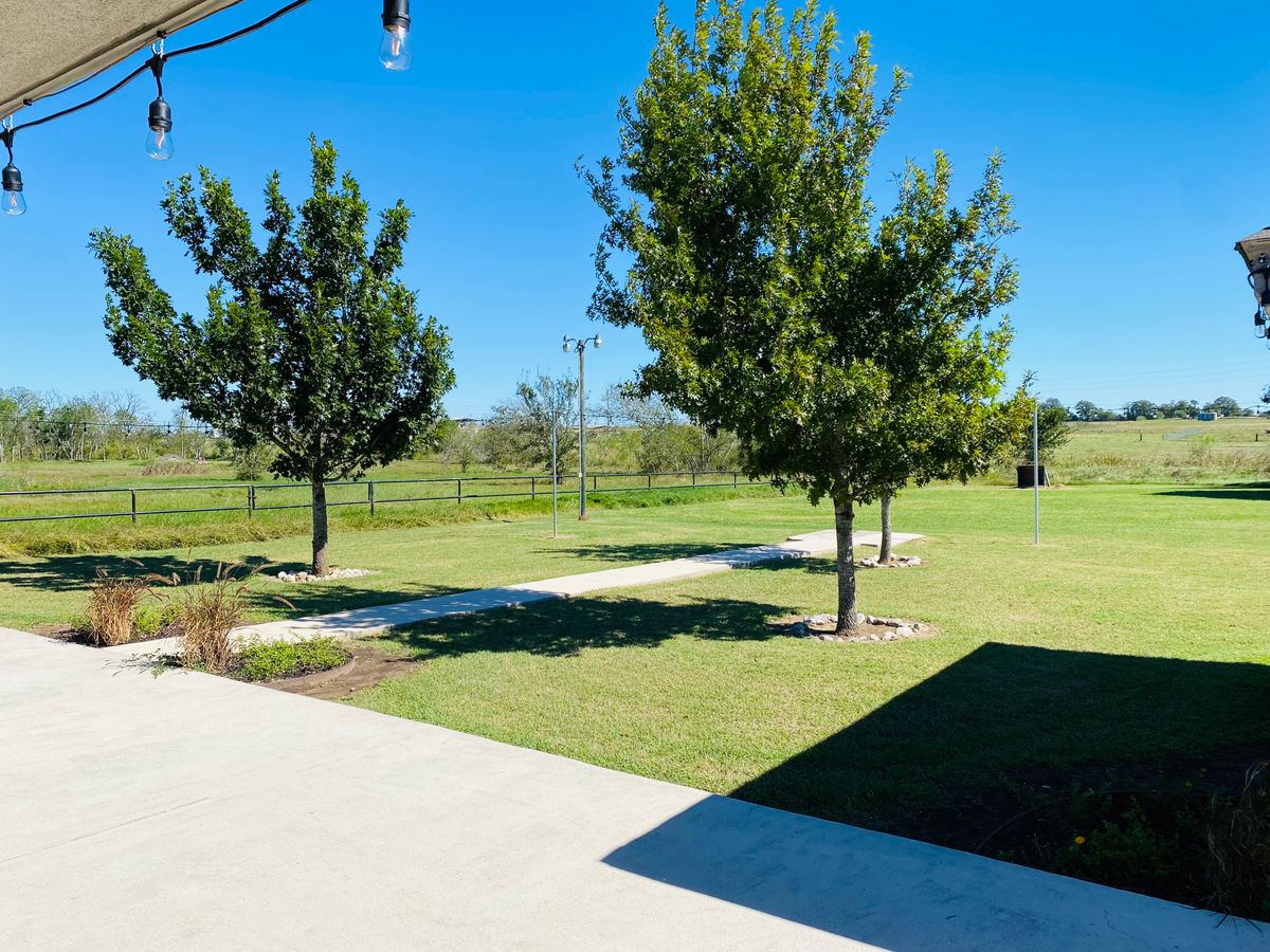 A sunny day in a well-maintained backyard with a few trees and a green lawn.