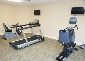 A clean and well-equipped gym with a treadmill and stationary bike.