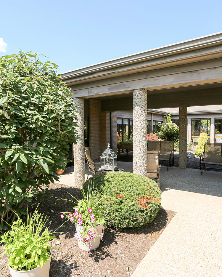 A sunny outdoor patio with lush greenery and decorative columns.