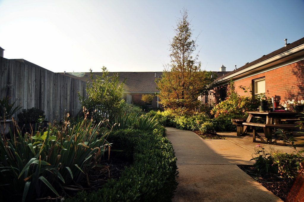 A serene garden pathway bathed in sunlight, surrounded by lush plants and trees.