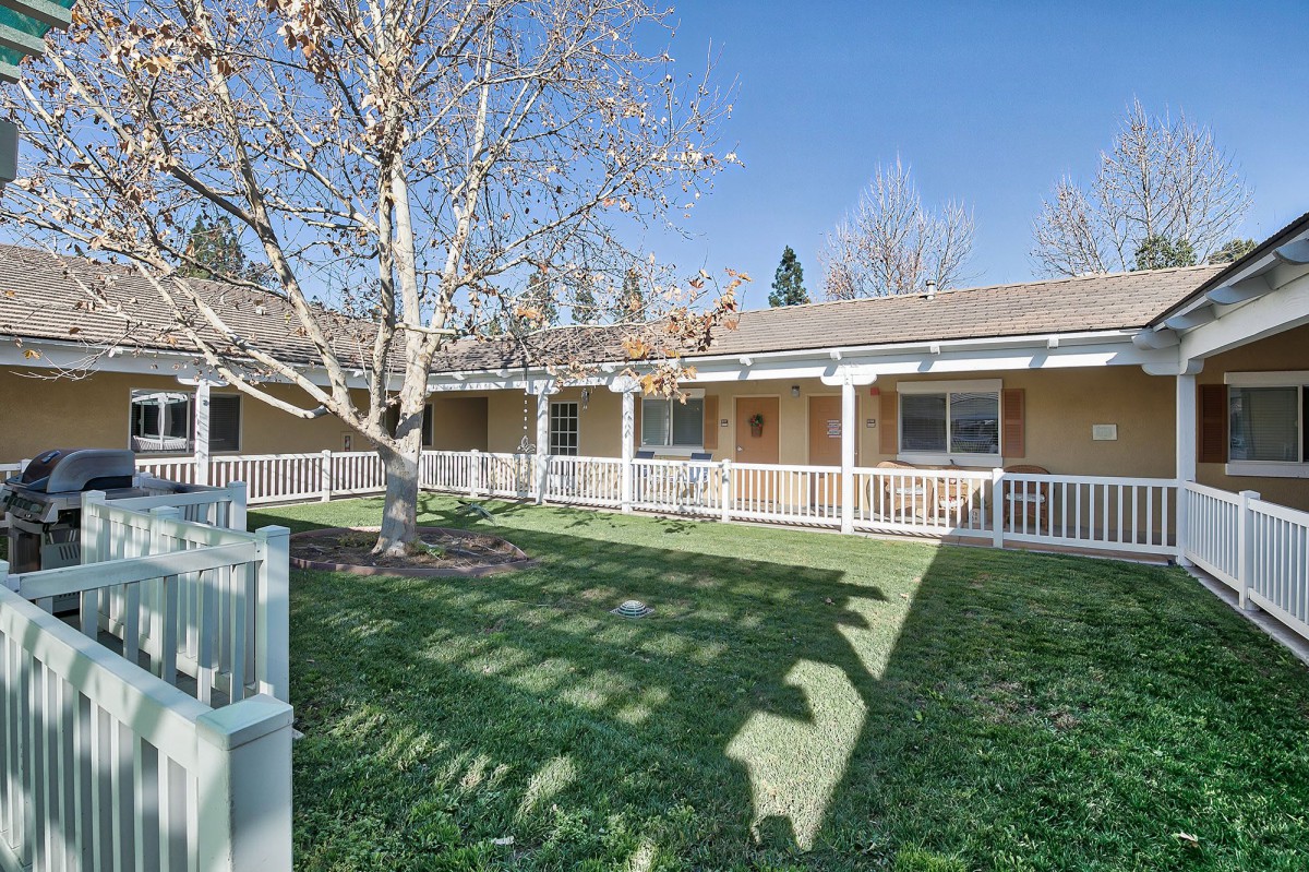A sunny day view of a house with a porch, yard, and tree.