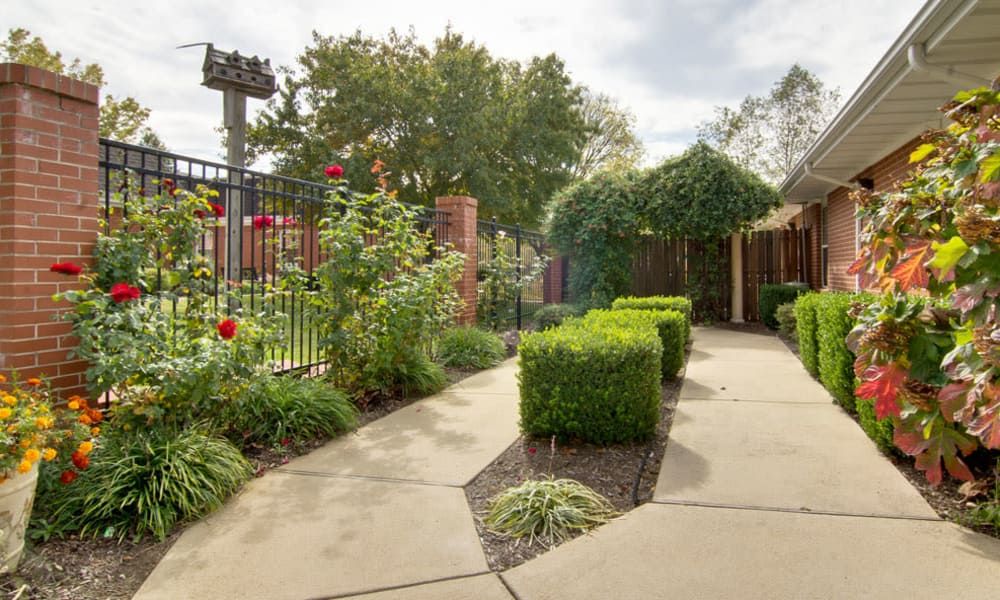 A well-maintained garden with a paved pathway and lush greenery.