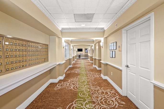 A well-lit hallway with patterned carpet and multiple doors.