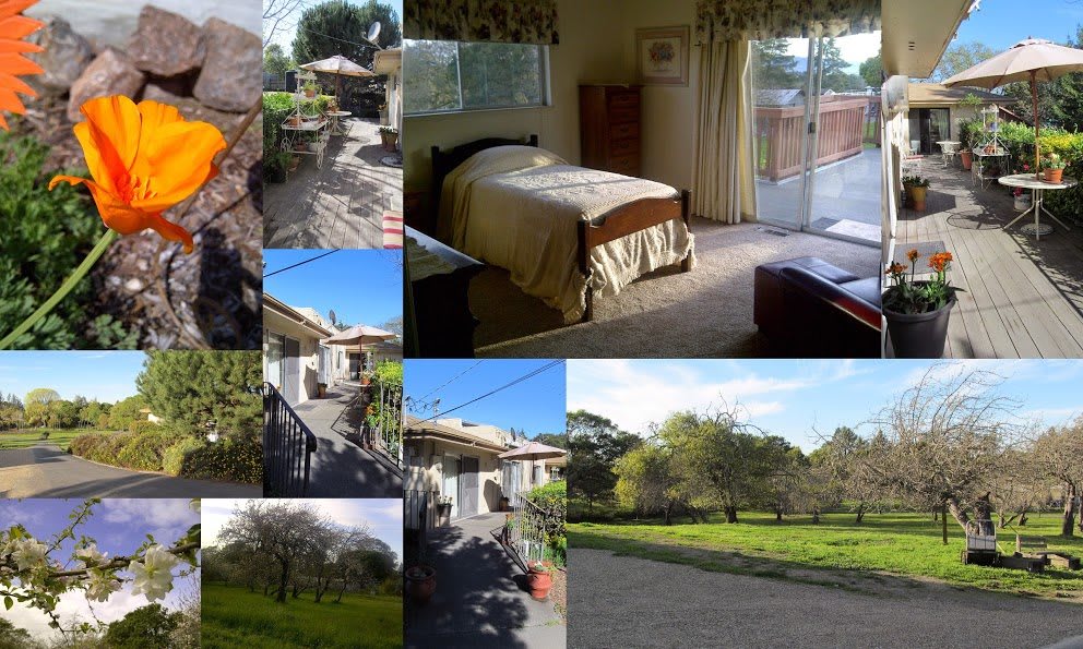 A collage of a cozy house with a beautiful garden and scenic views.