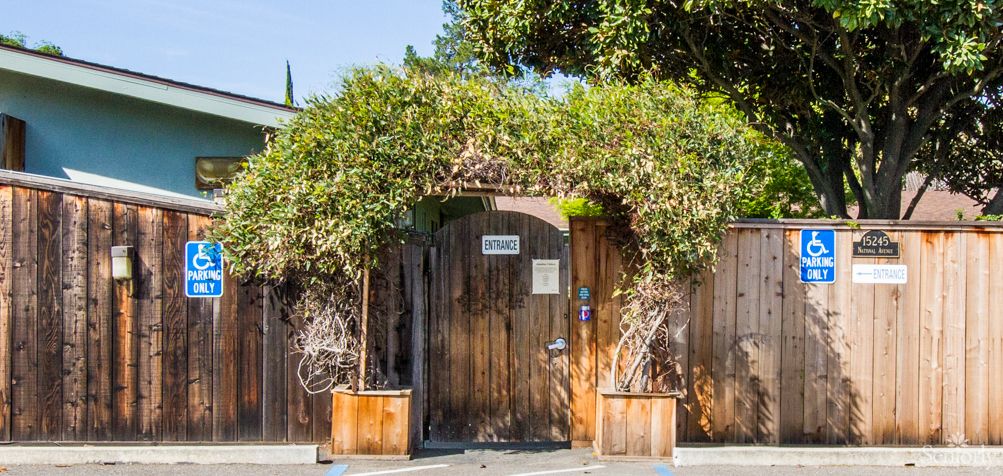 A wooden gate surrounded by lush greenery.