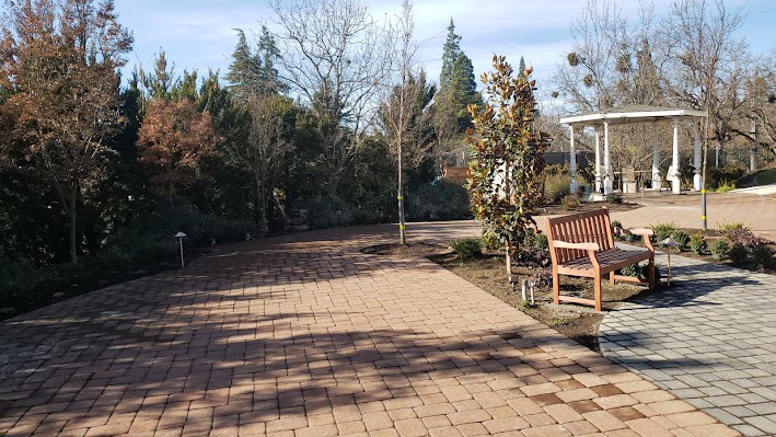 A tranquil outdoor patio area with a paved pathway and wooden bench surrounded by trees.