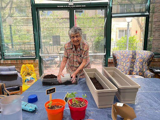 A senior individual preparing pots for planting in an indoor garden setting.