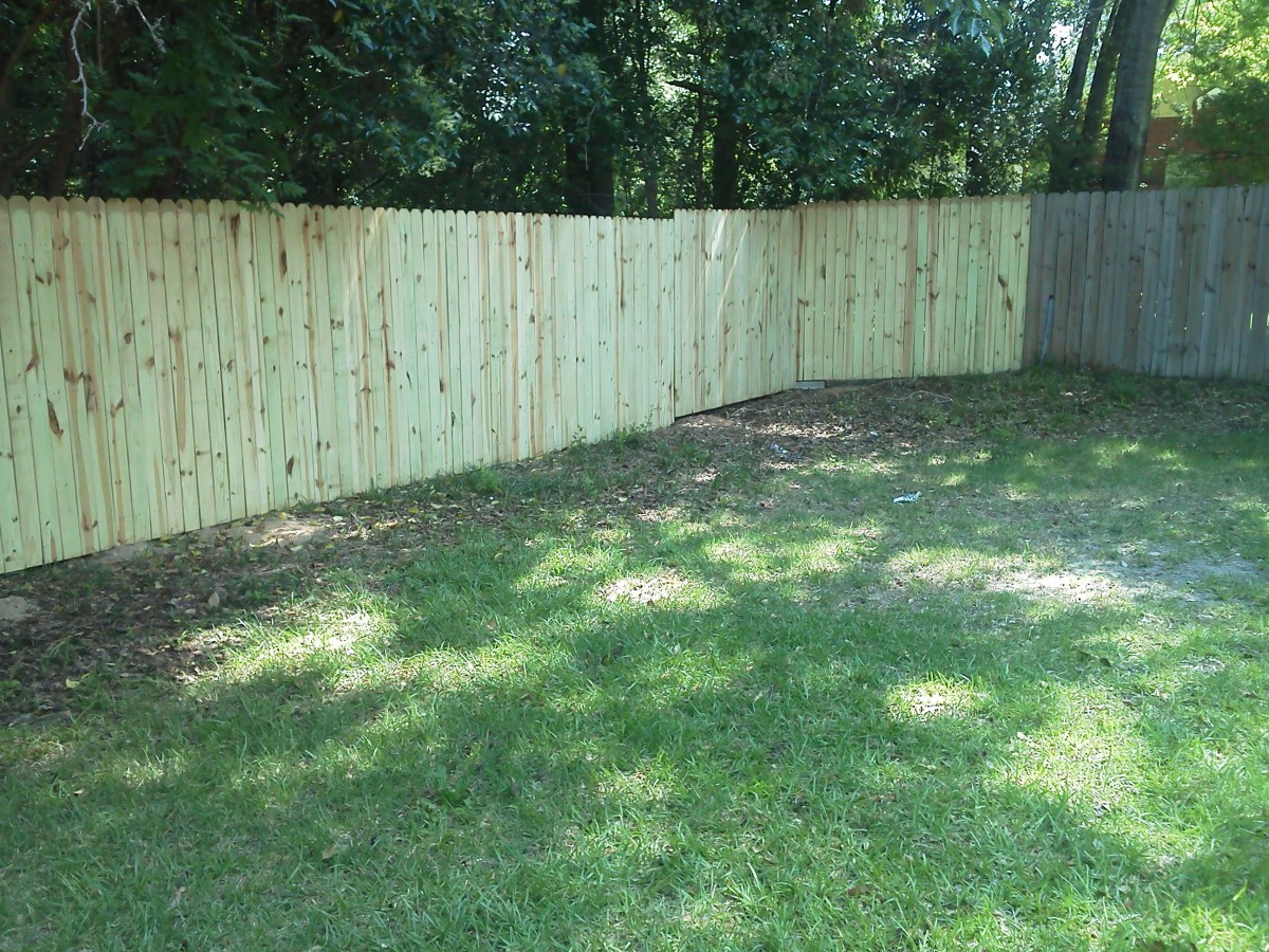 A backyard with a wooden fence and a well-maintained lawn.