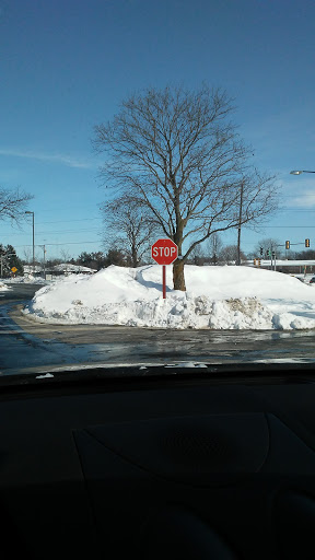 A stop sign near a snow-covered area with a clear blue sky.