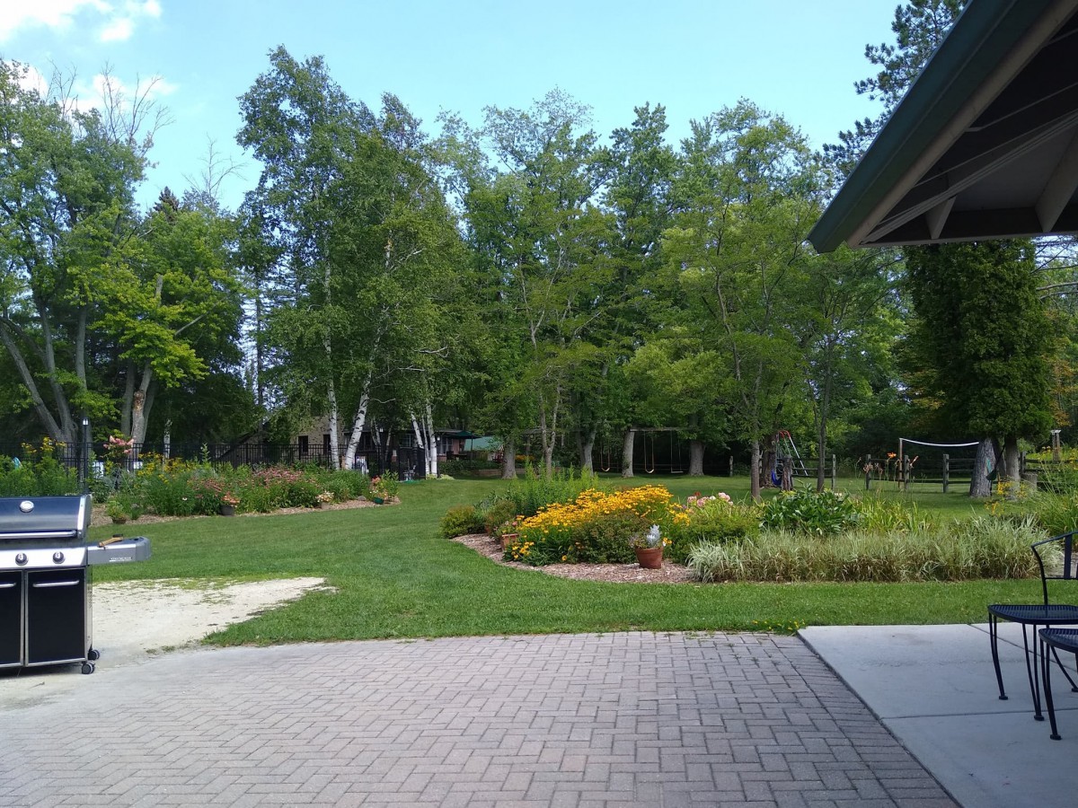 A scenic garden landscape with trees and colorful flowers.