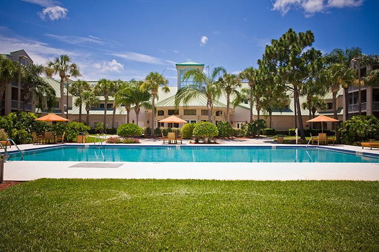 A beautiful resort with a swimming pool surrounded by palm trees and greenery under a clear blue sky.