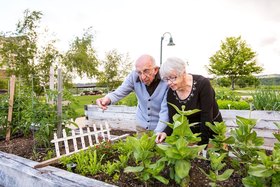 An elderly couple tends to their garden on a sunny day.