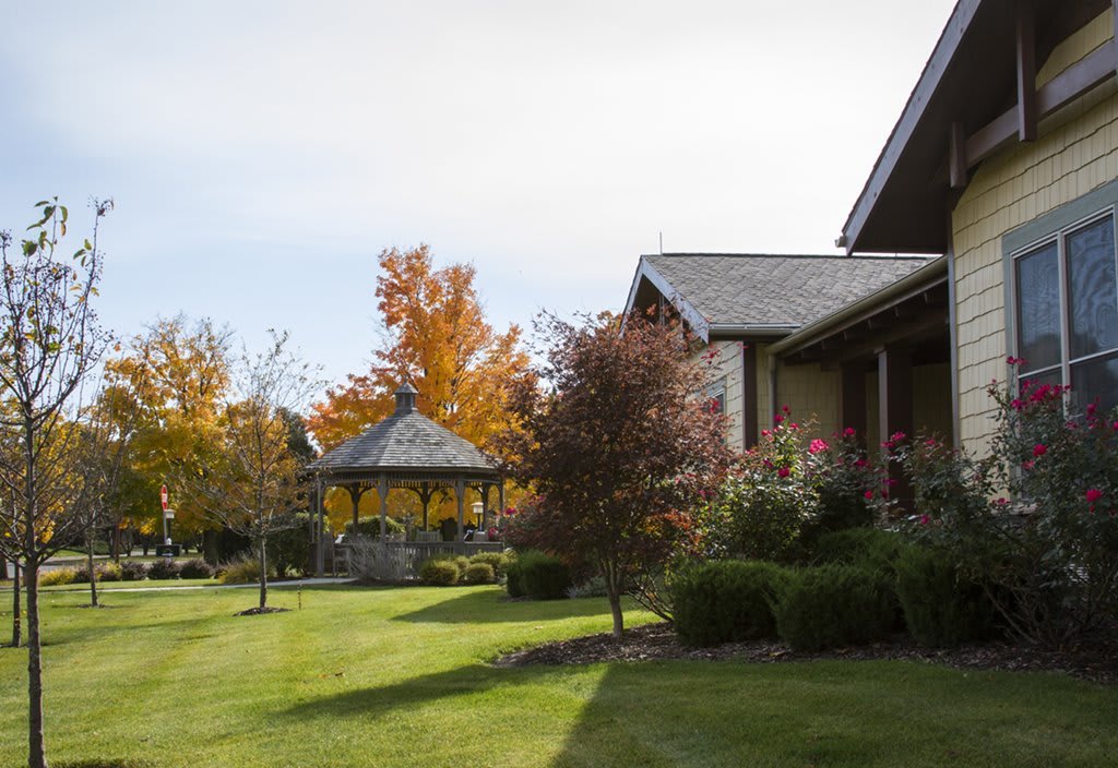 A serene yard with a house and gazebo surrounded by autumn foliage.