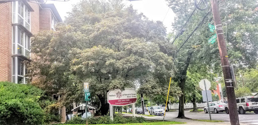 A large tree shading a street sign in an urban setting.