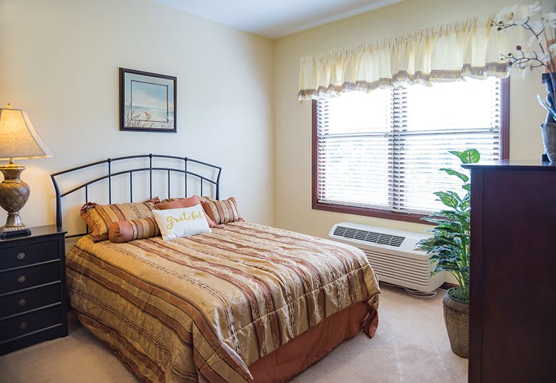 A cozy bedroom with a striped bedspread, a large window, and a decorative plant.