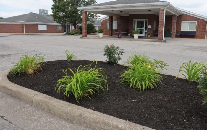 A landscaped area with mulch and plants in front of a building entrance near a parking lot.