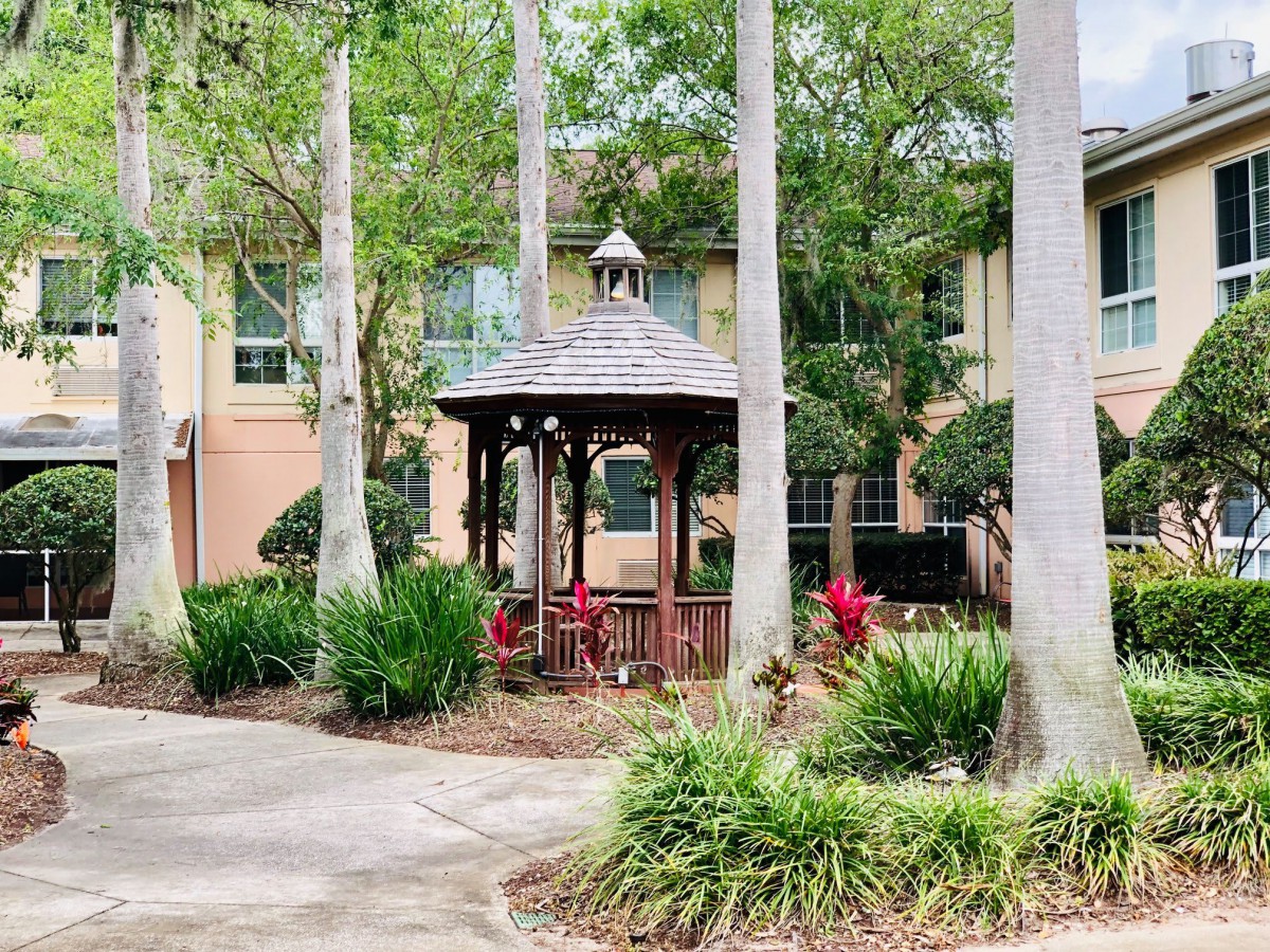 A peaceful garden setting featuring a wooden gazebo surrounded by trees and lush greenery.