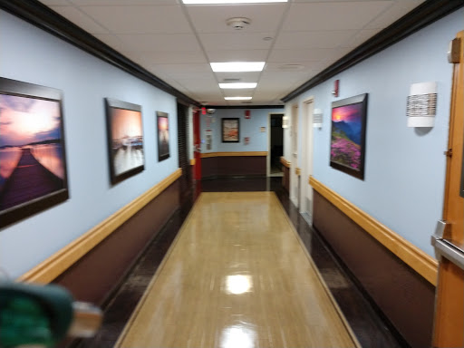 A well-lit hallway adorned with paintings on the walls, featuring blue paint and wooden accents.