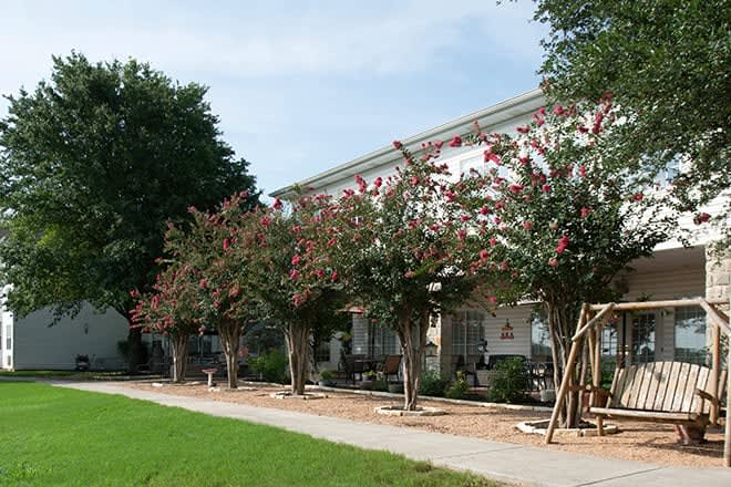 A sidewalk lined with flowering trees next to a building.