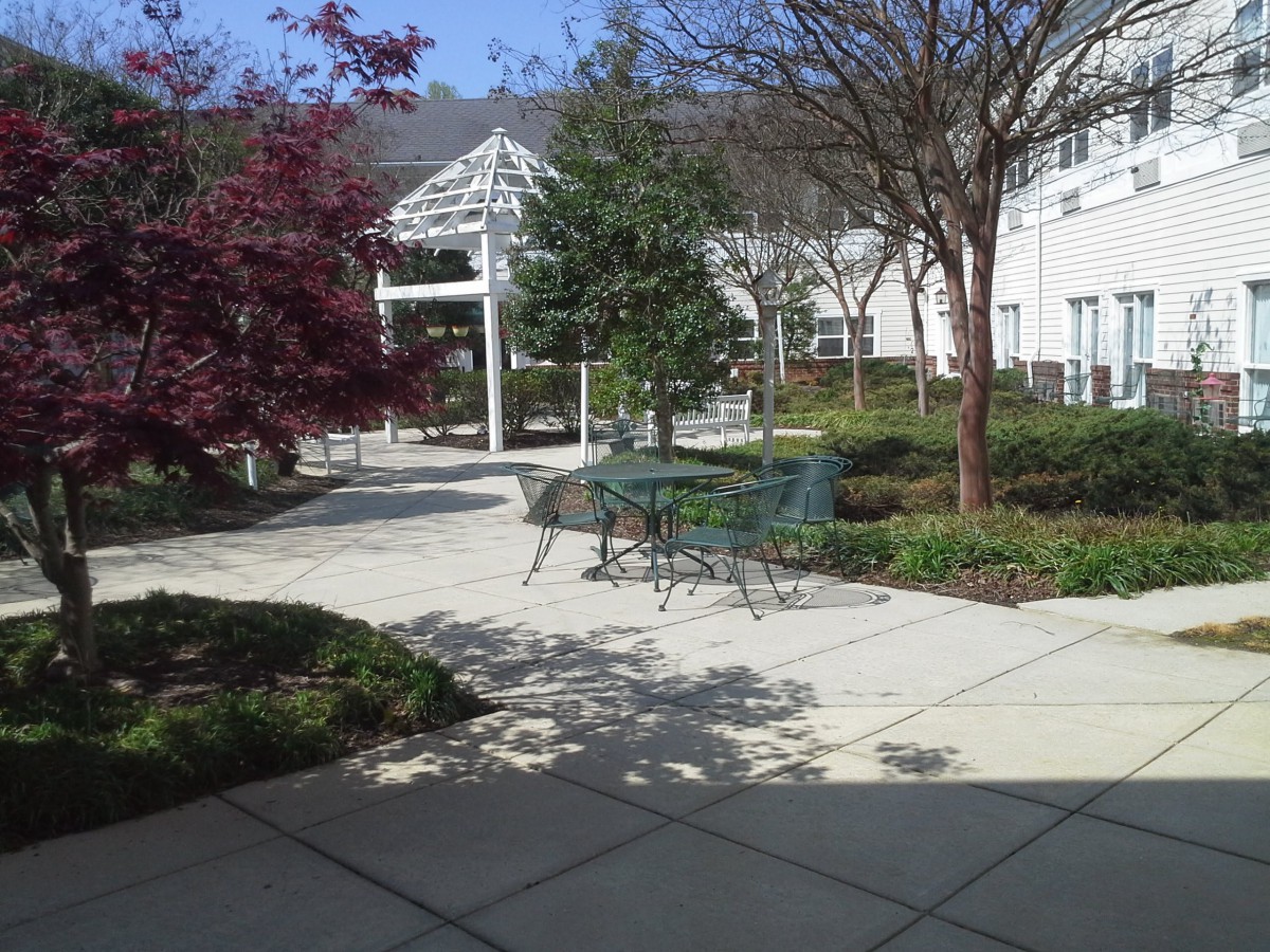 A sunny outdoor patio area with tables and chairs surrounded by trees and plants.