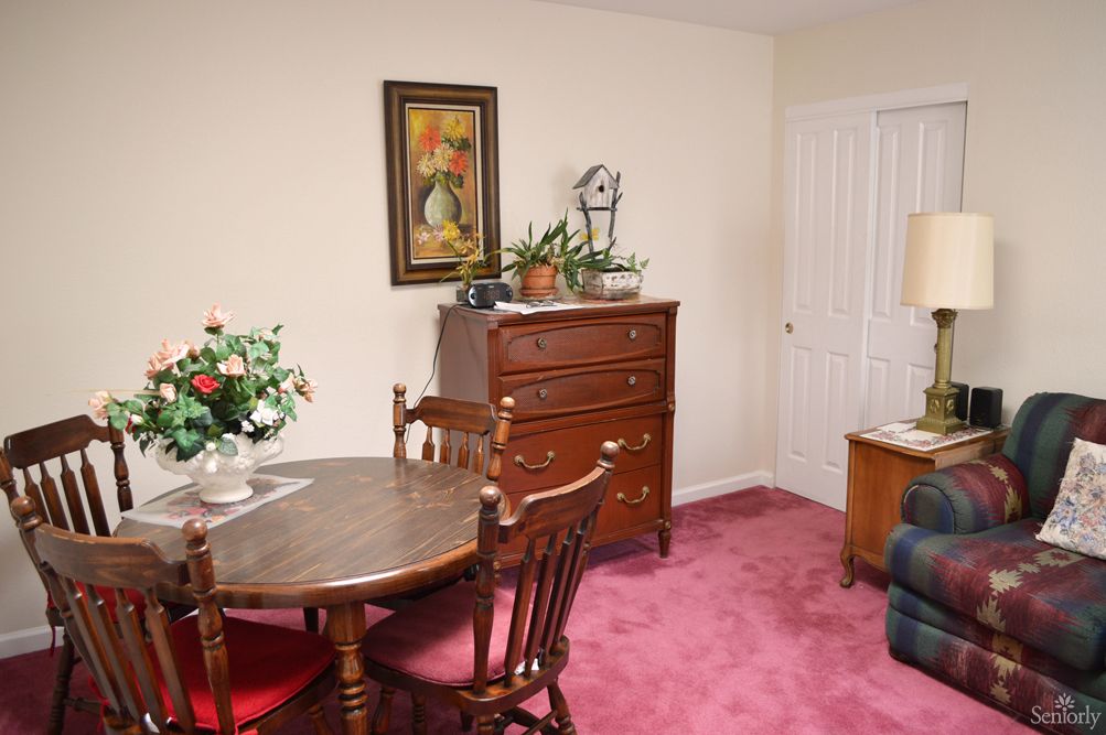 Judy's Home For The Elderly 1