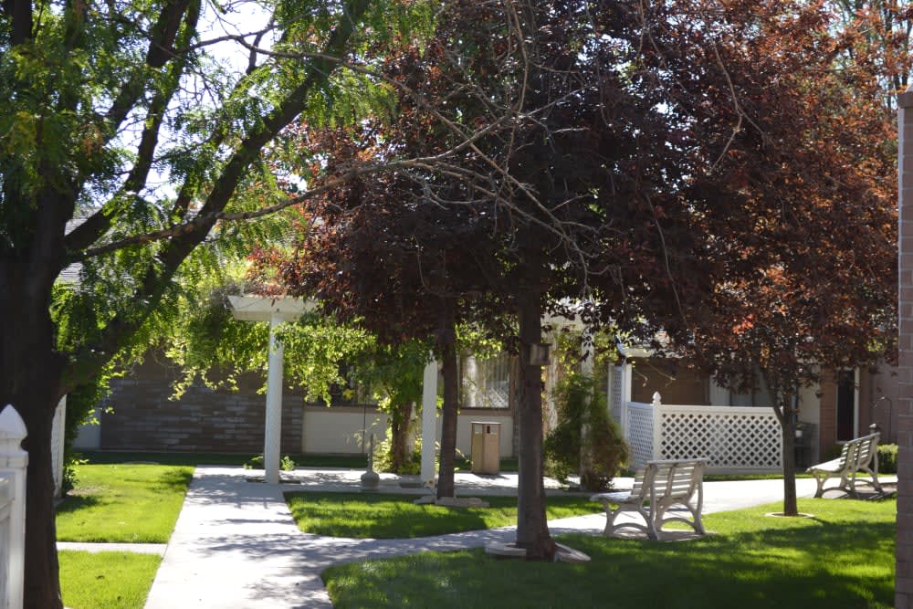 A serene garden setting with a walkway, benches, and lush trees.