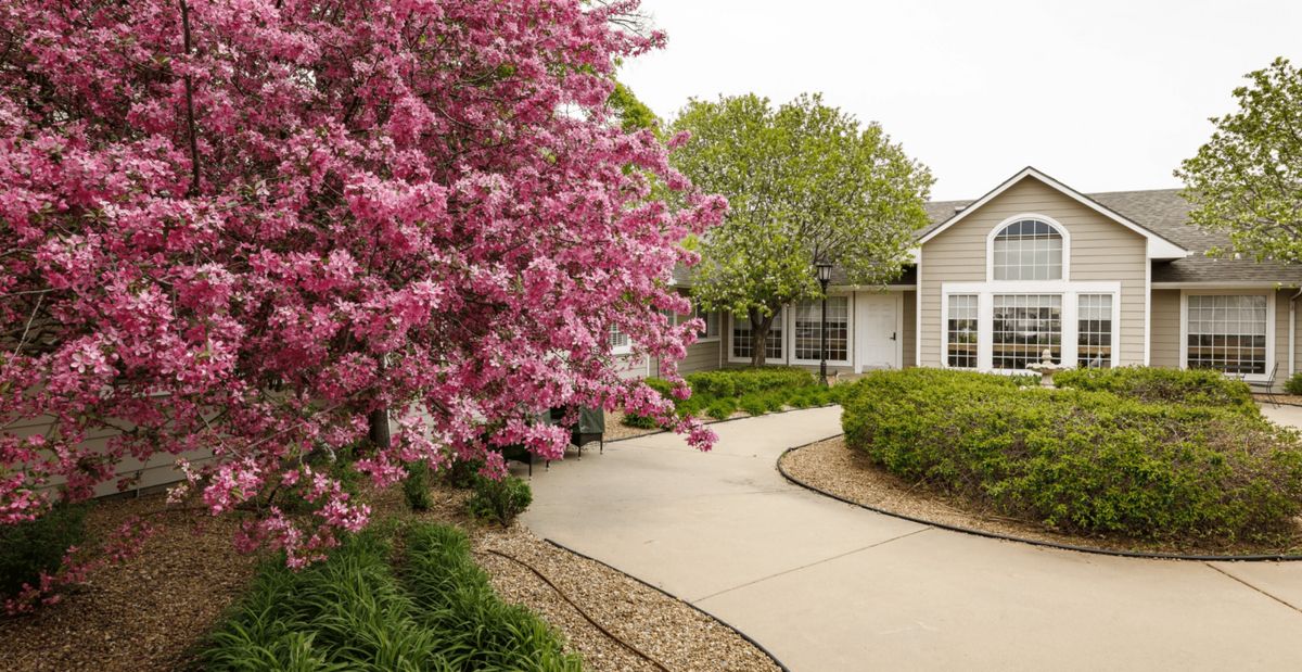 A charming pathway leads to a house, flanked by blooming pink trees and well-manicured lawns.