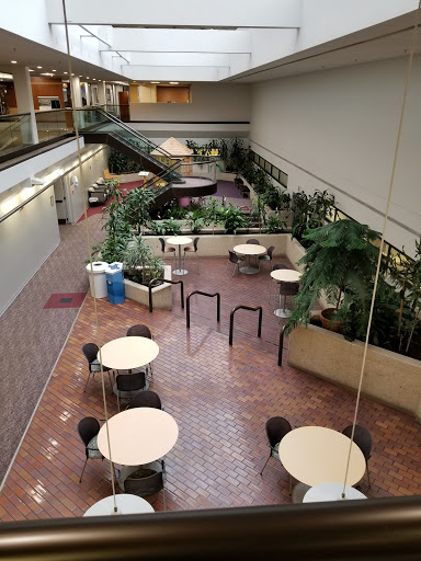 A spacious indoor courtyard featuring tables and chairs surrounded by greenery.