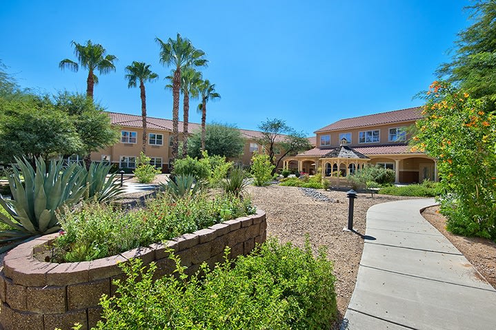 A sunlit courtyard with palm trees and desert plants surrounding a modern building.