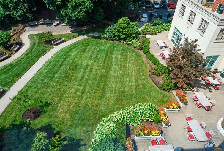 Aerial view of a well-maintained garden with lush green lawn and surrounding plants.