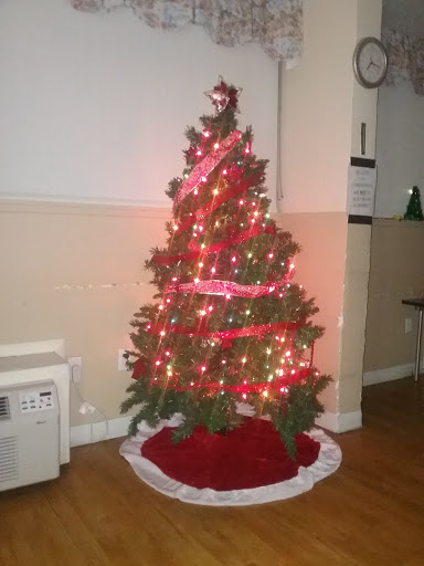 A beautifully decorated Christmas tree adorned with lights and red ribbons.