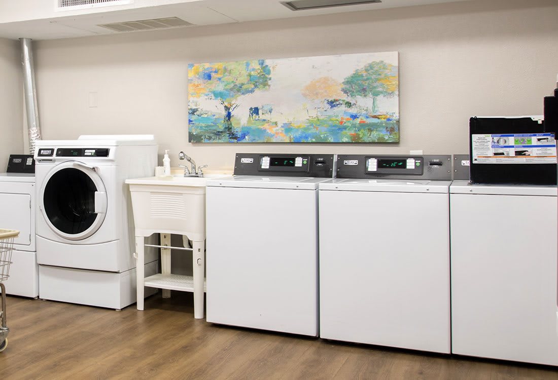 A well-organized laundry room featuring modern washing machines and a dryer, with a decorative painting on the wall.