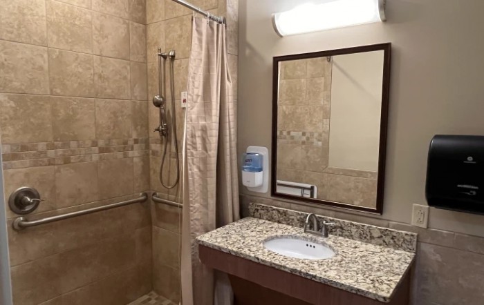 A bathroom featuring a sink with a granite countertop, a mirror, and a shower with a curtain.