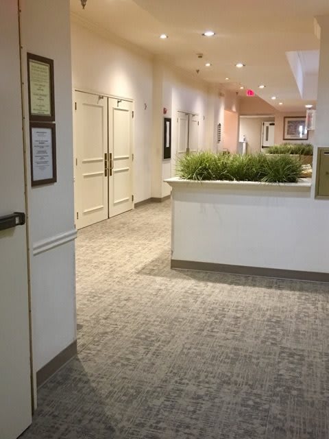 A well-lit hallway with carpeted flooring and potted plants.